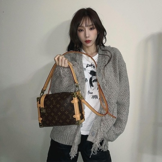 태연 루이비통 사이드 트렁크 백
