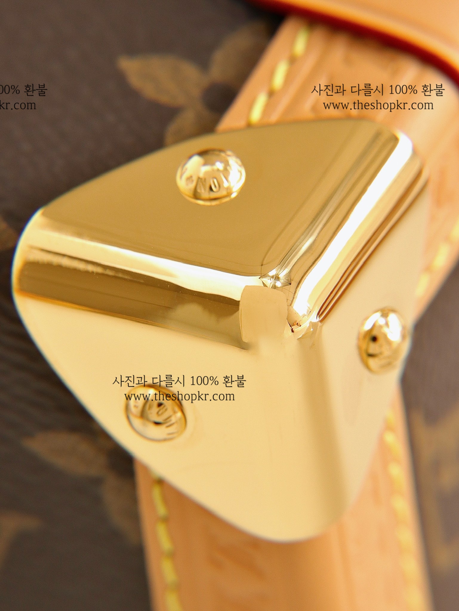 태연 루이비통 사이드 트렁크 백