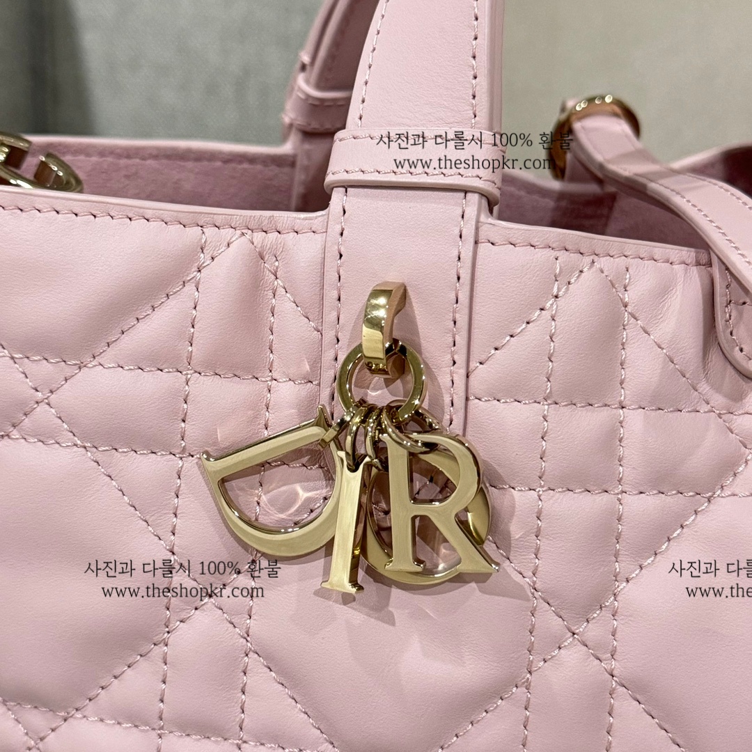 (여왕) 디올 뚜주흐 스몰 백