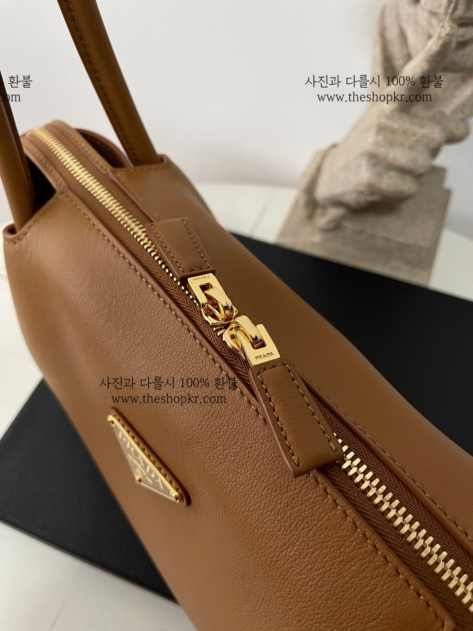 카리나 프라다 미디움 가죽 핸드백
