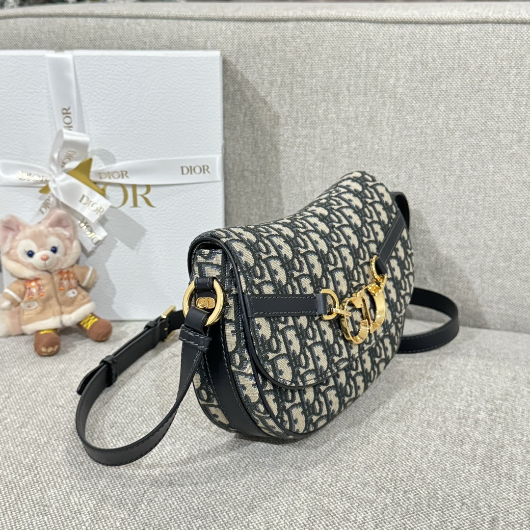 (여왕) 디올 베사체 크로스 백