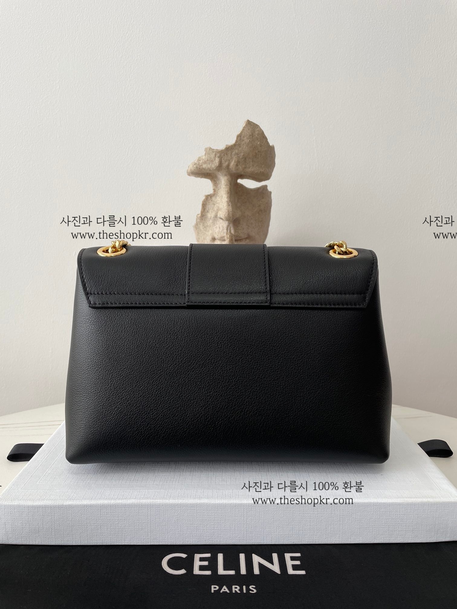 최지우 셀린느 빅투아르 백