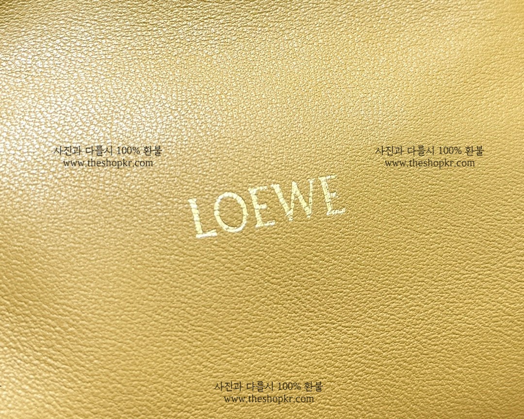 기은세 로에베 플라멩코 미듐 펄스 백