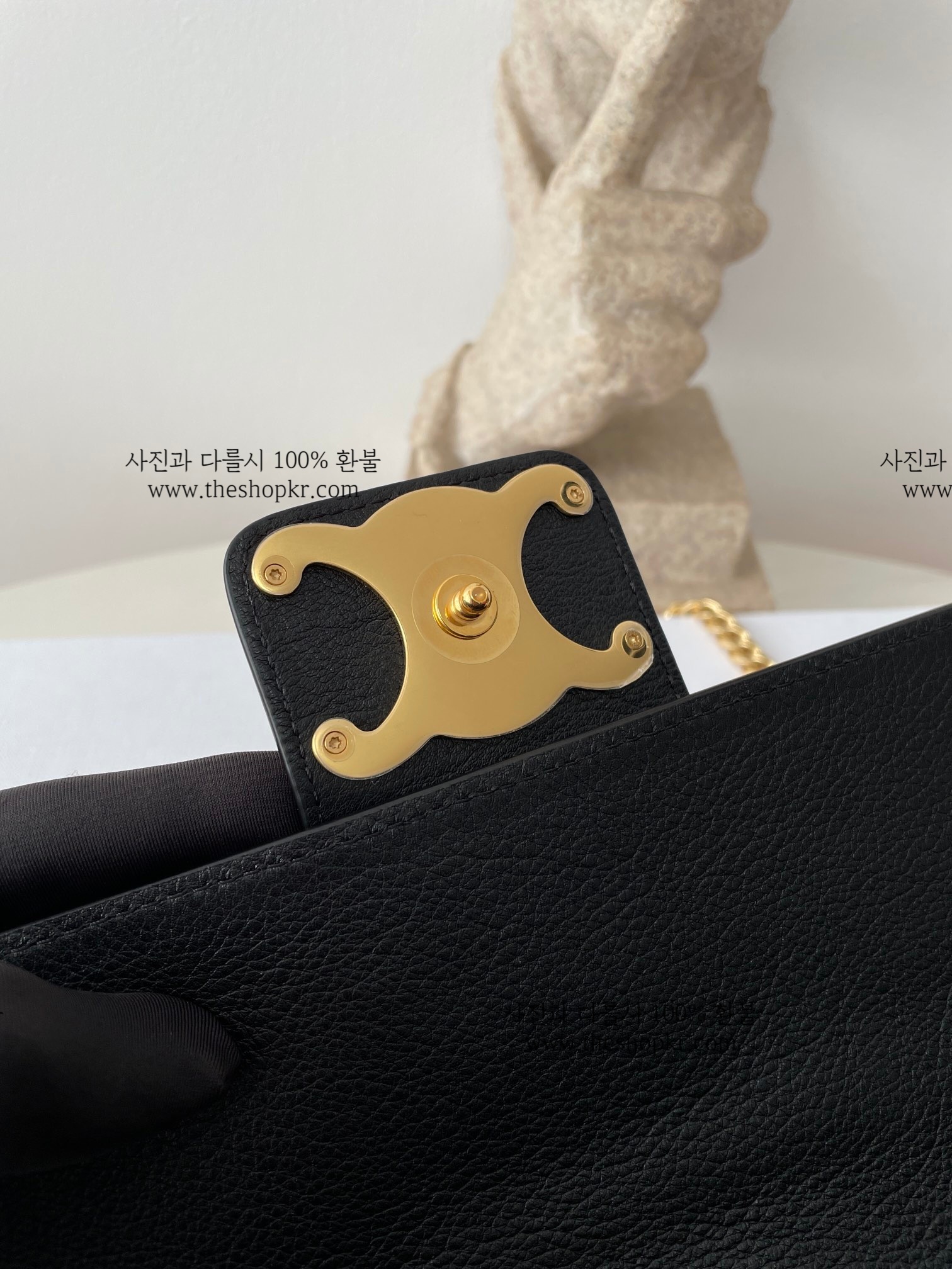 (블프) 셀린느 미듐 빅투아르 백