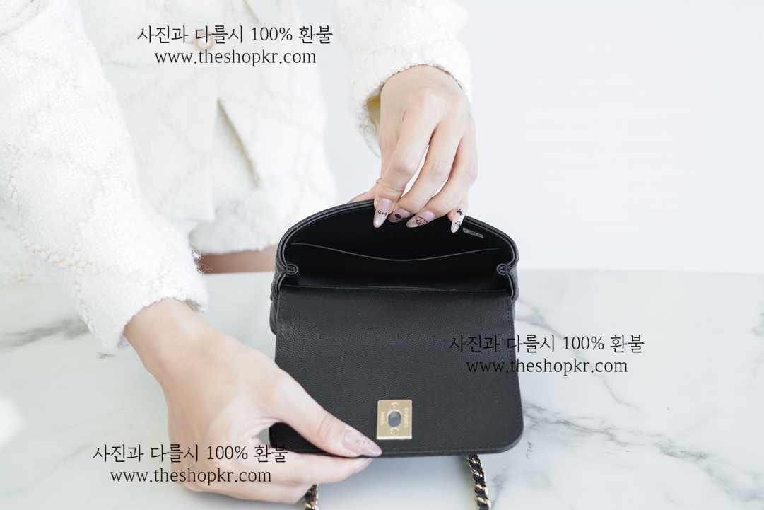 (펜더) 샤넬 24K 코코 핸들 나노 백
