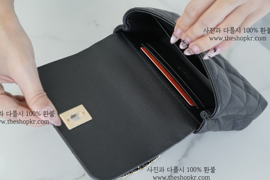 (펜더) 샤넬 24K 코코 핸들 나노 백