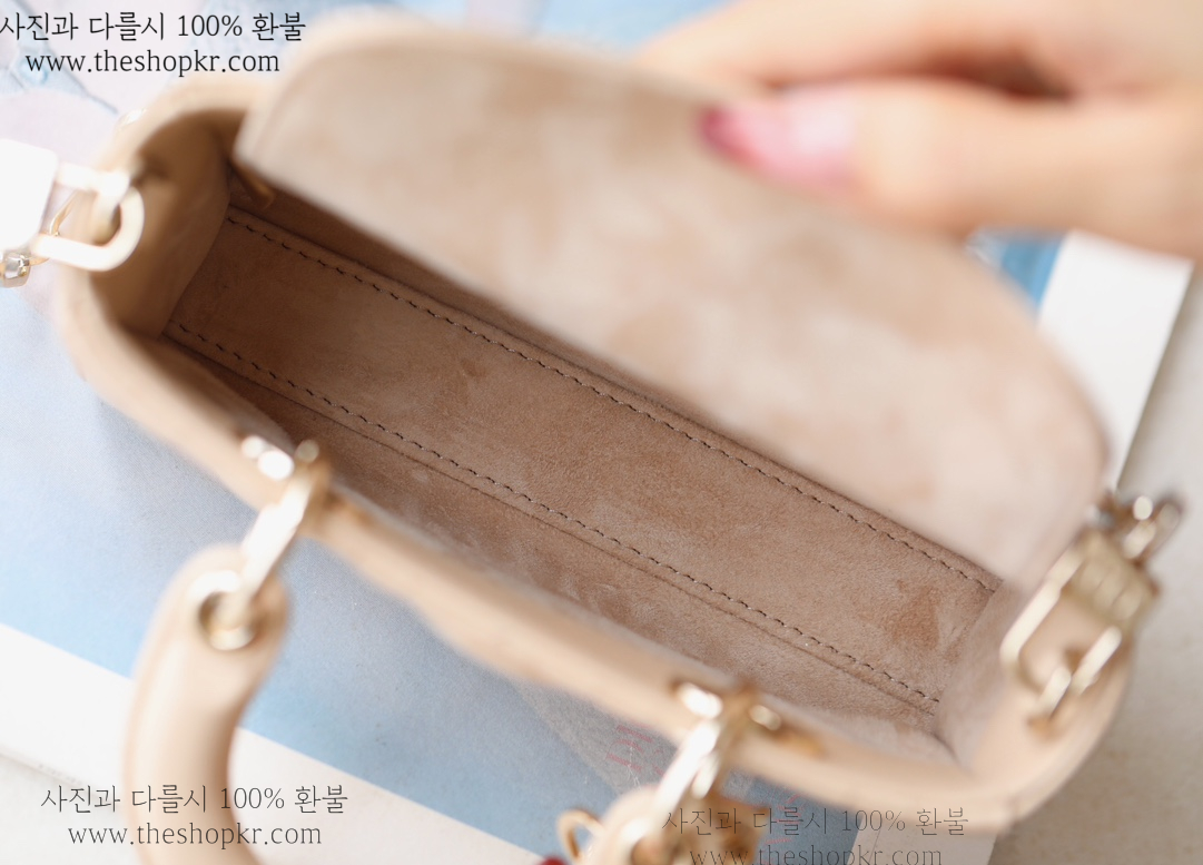 (닥터) 디올 디조이 마이크로 백