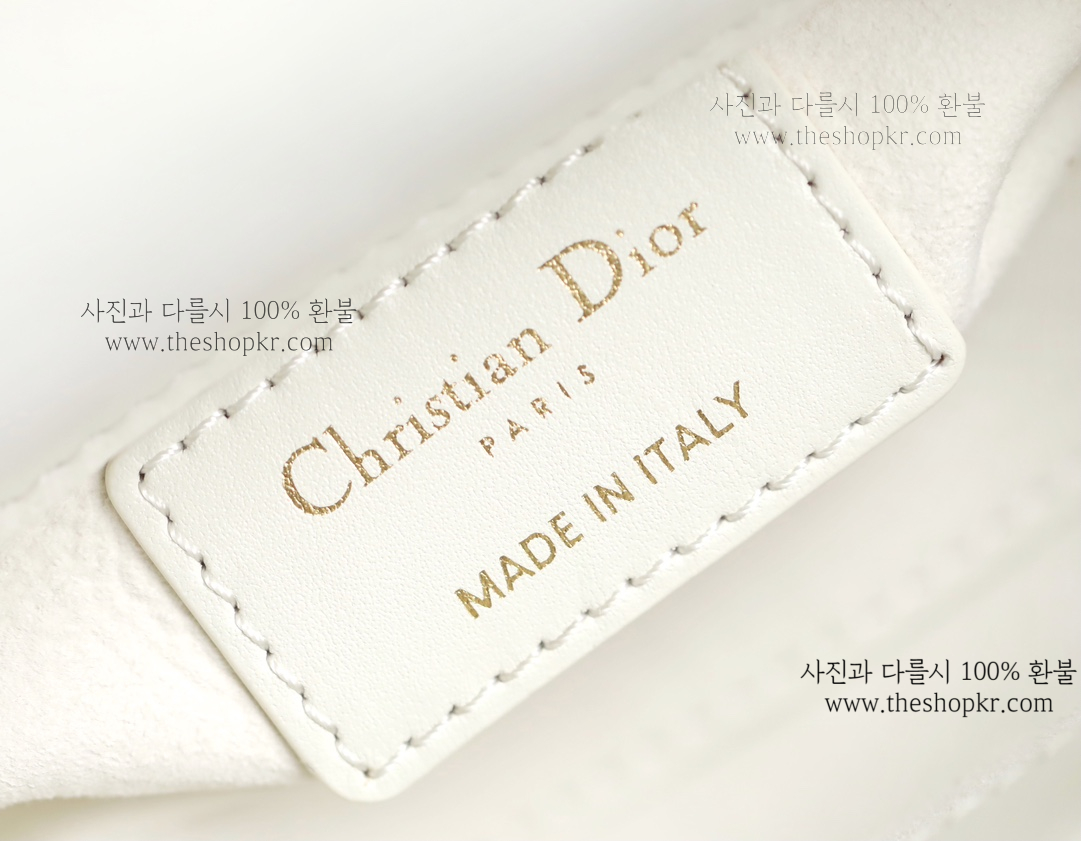 (닥터) 디올 디조이 마이크로 백