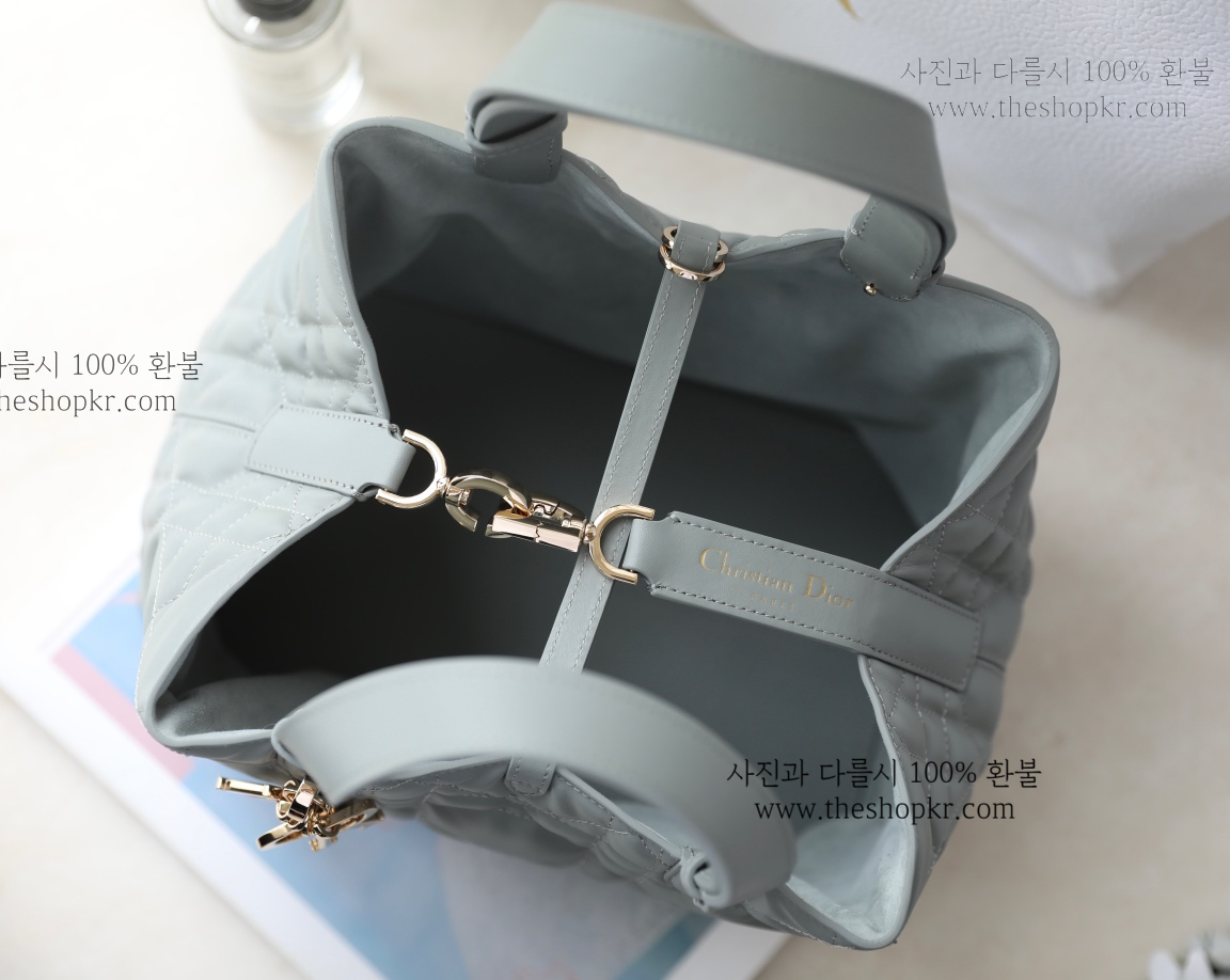 (닥터) 디올 뚜주흐 미듐 백