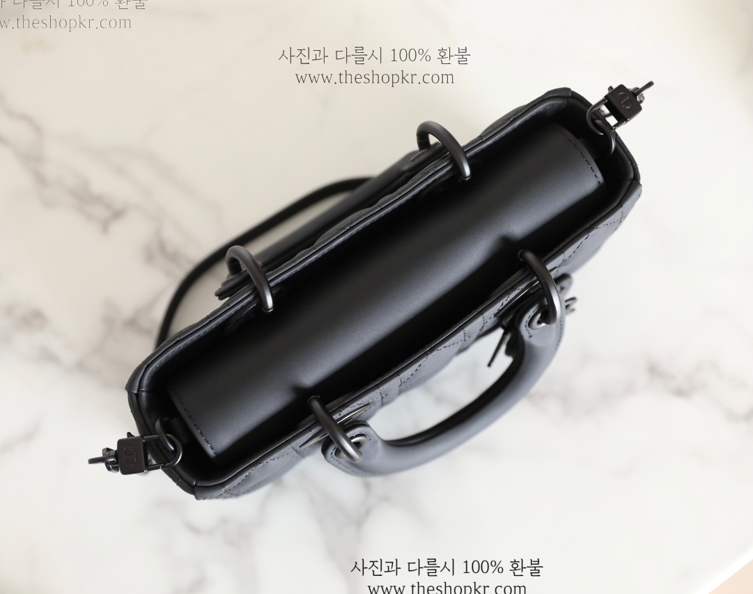 (닥터) 디올 디조이 스몰 백