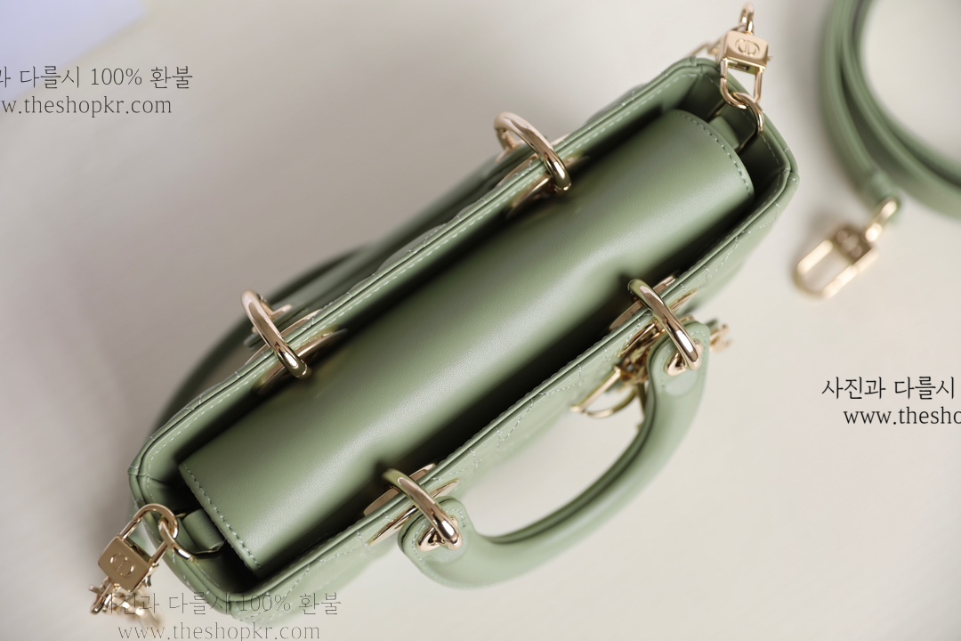 (닥터) 디올 디조이 스몰 백
