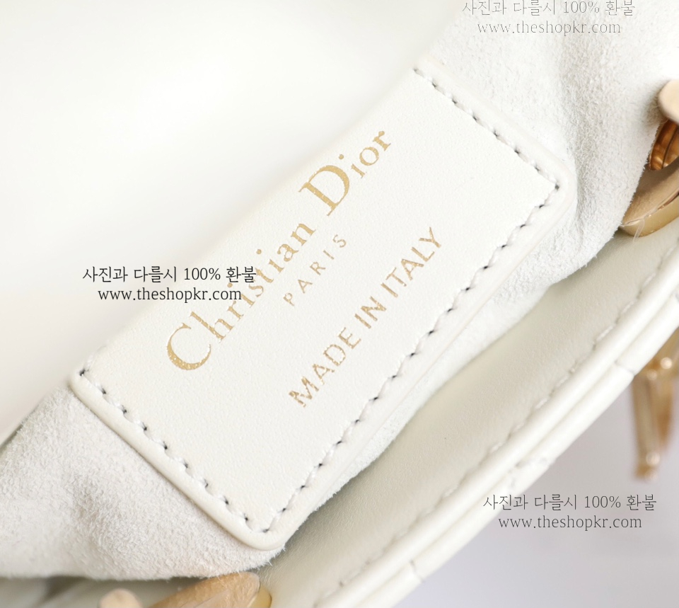 (닥터) 디올 레이디 디올 마이크로 백