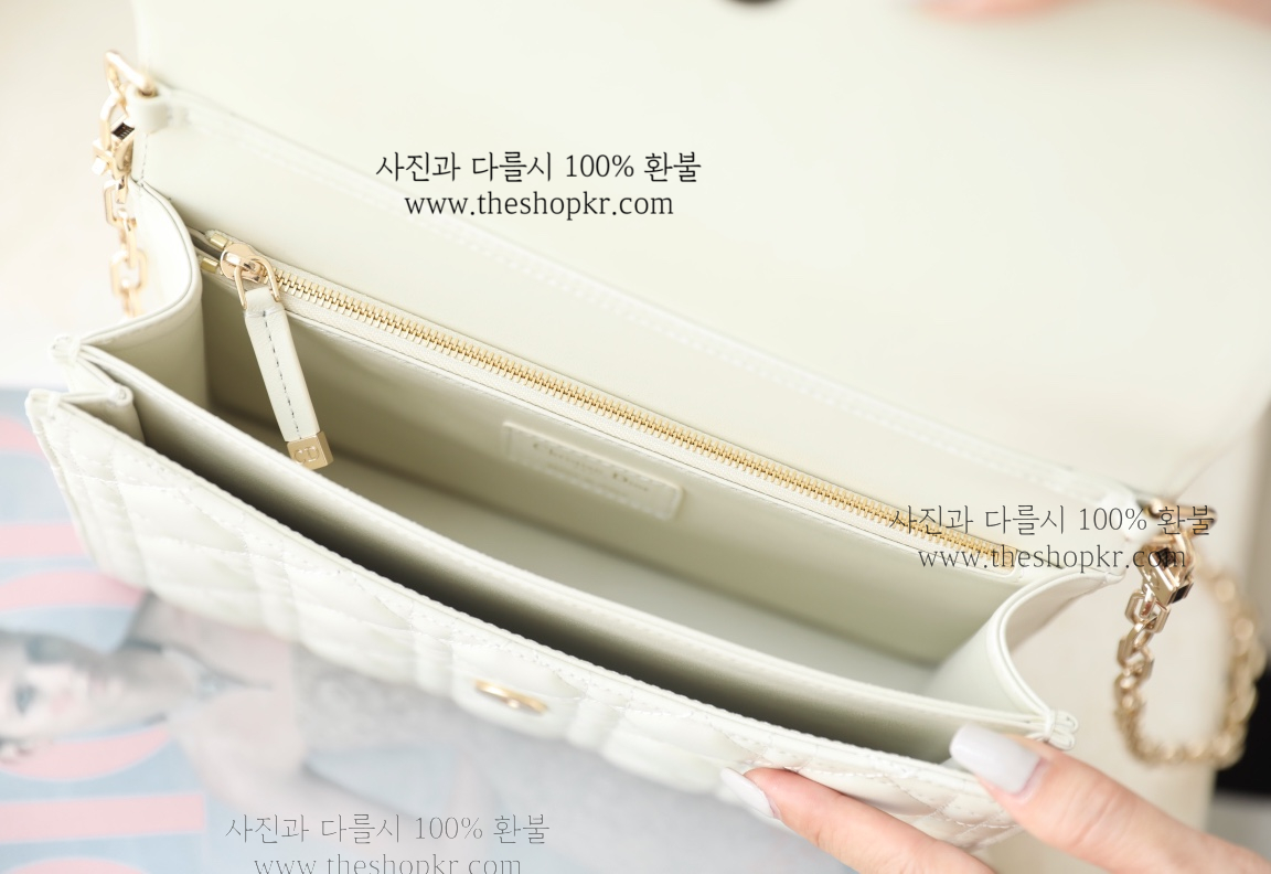 (닥터) 디올 미스디올 백