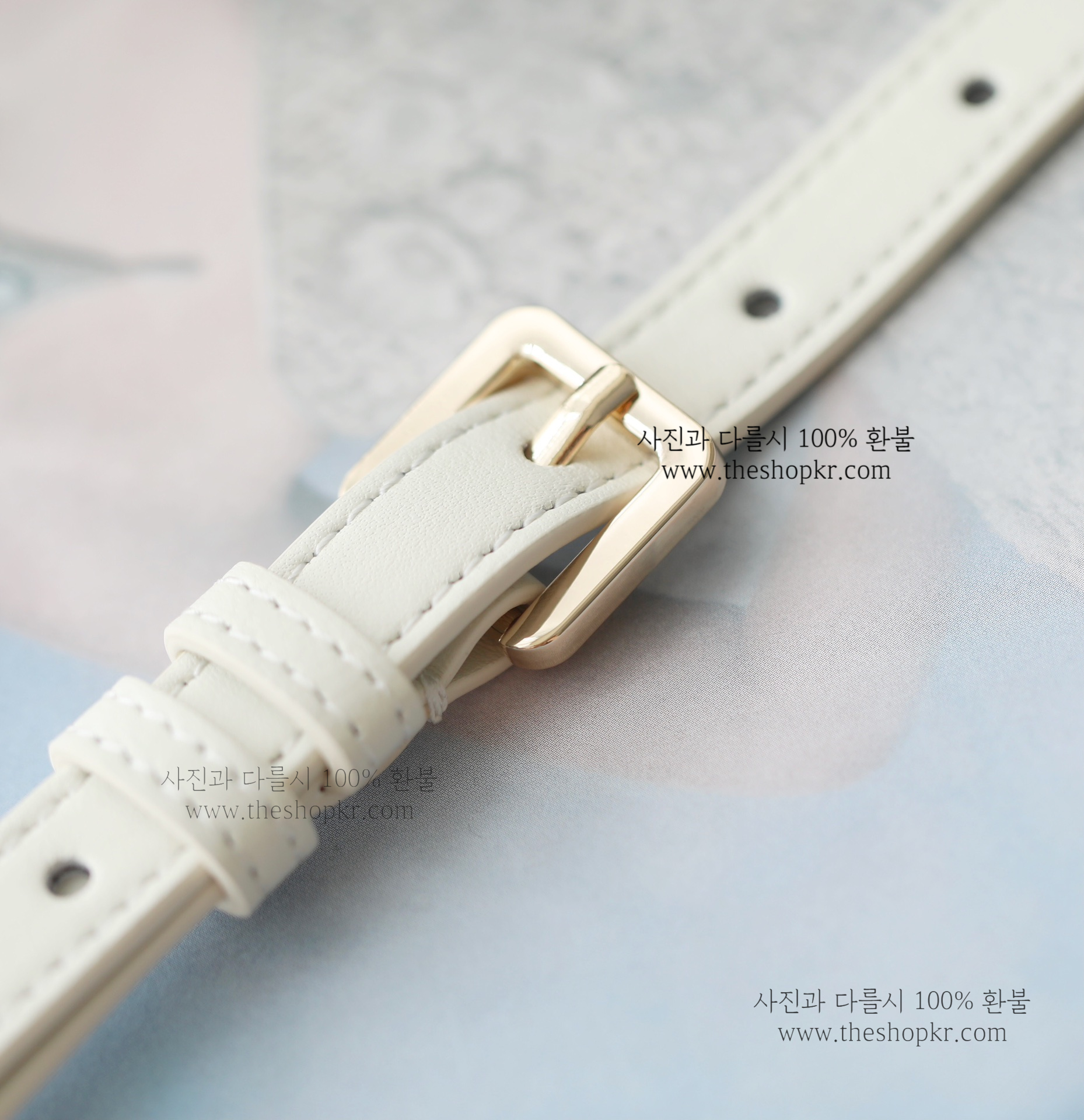 (닥터) 디올 미스디올 백