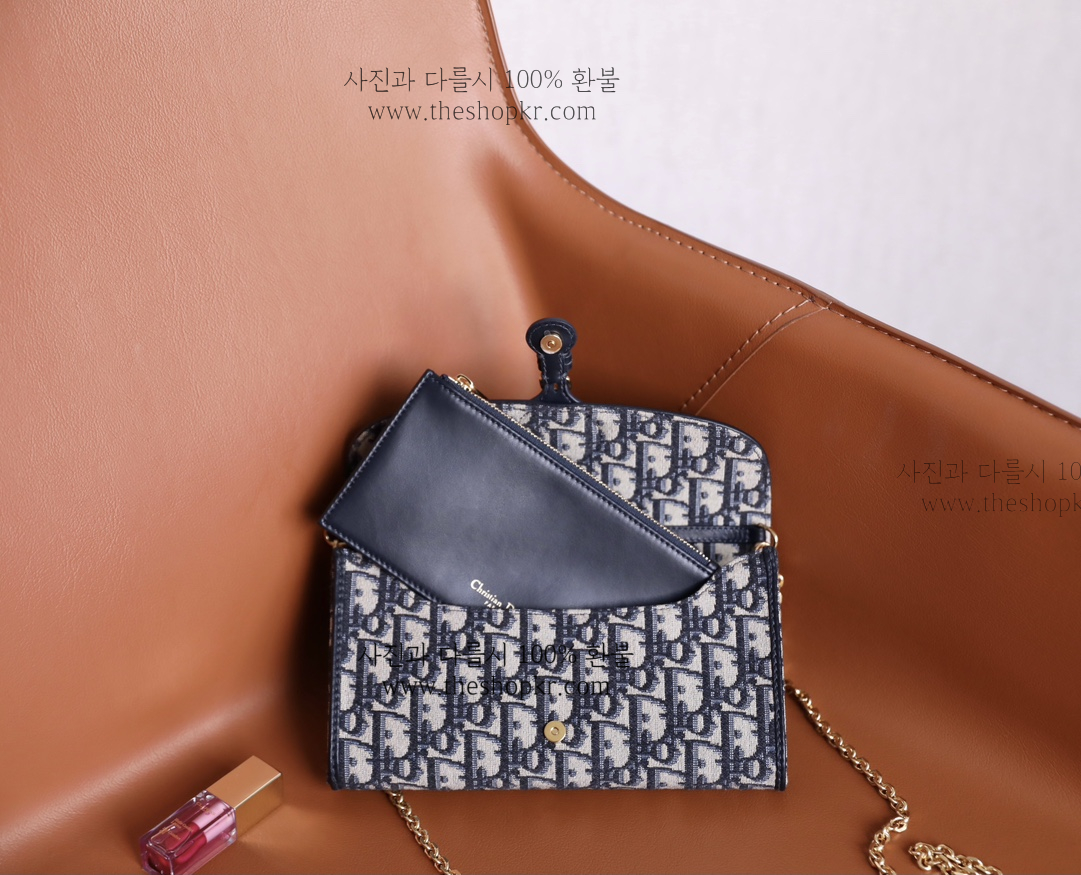 (닥터) 디올 바비 WOC 체인 백