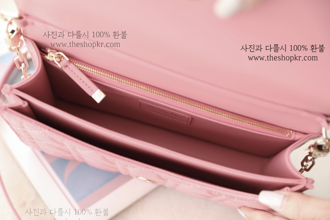 (닥터) 디올 미스디올 백