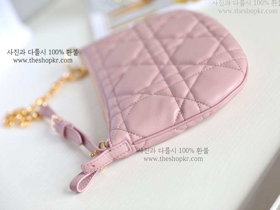 (닥터) 디올 카로 튤립 백