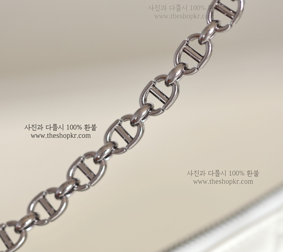 (닥터) 디올 카로 튤립 백