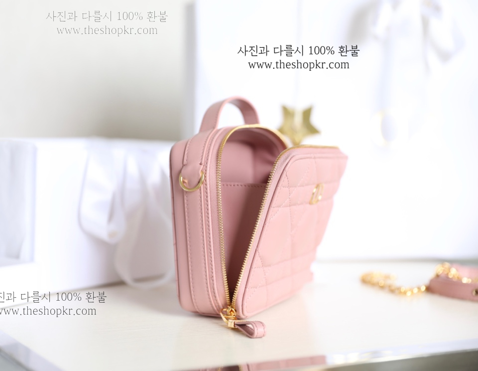 (닥터) 디올 카로 박스 백