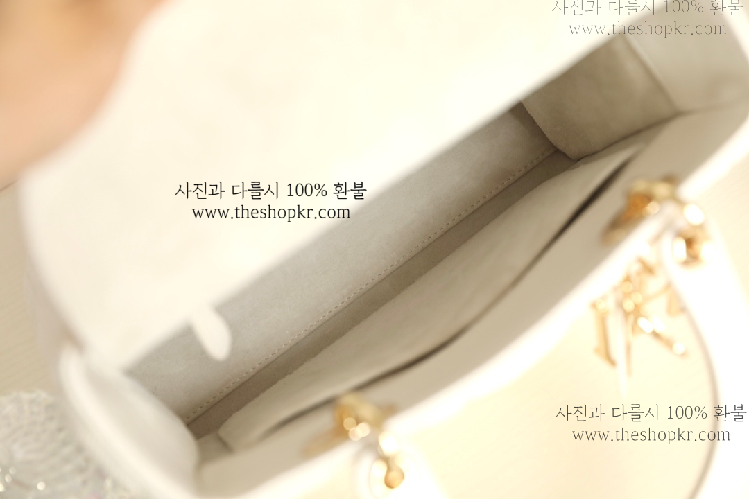 (닥터) 디올 레이디 디라이트 백