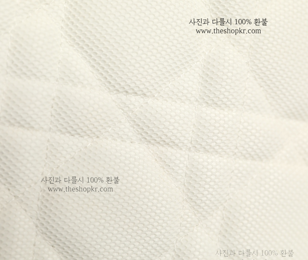 (닥터) 디올 레이디 디라이트 백
