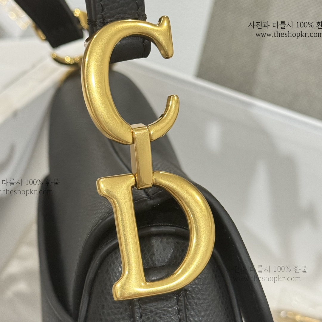 (여왕) 디올 미니 새들 백