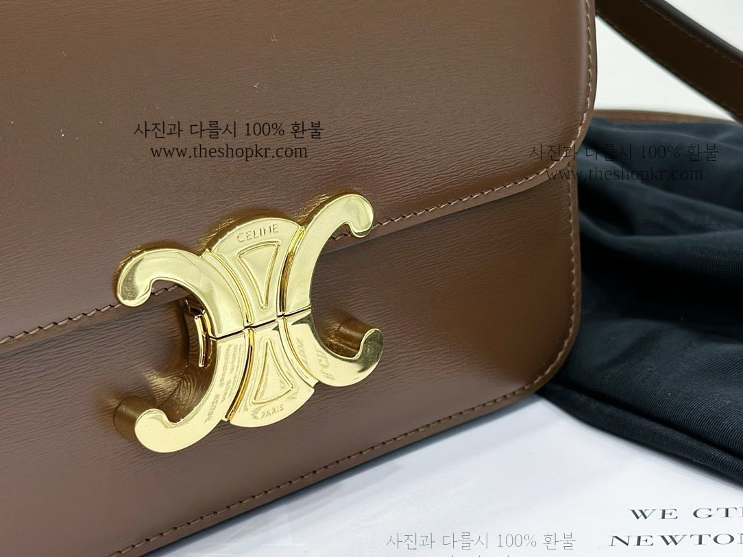 (흰고래) 셀린느 틴 트리옹프 백