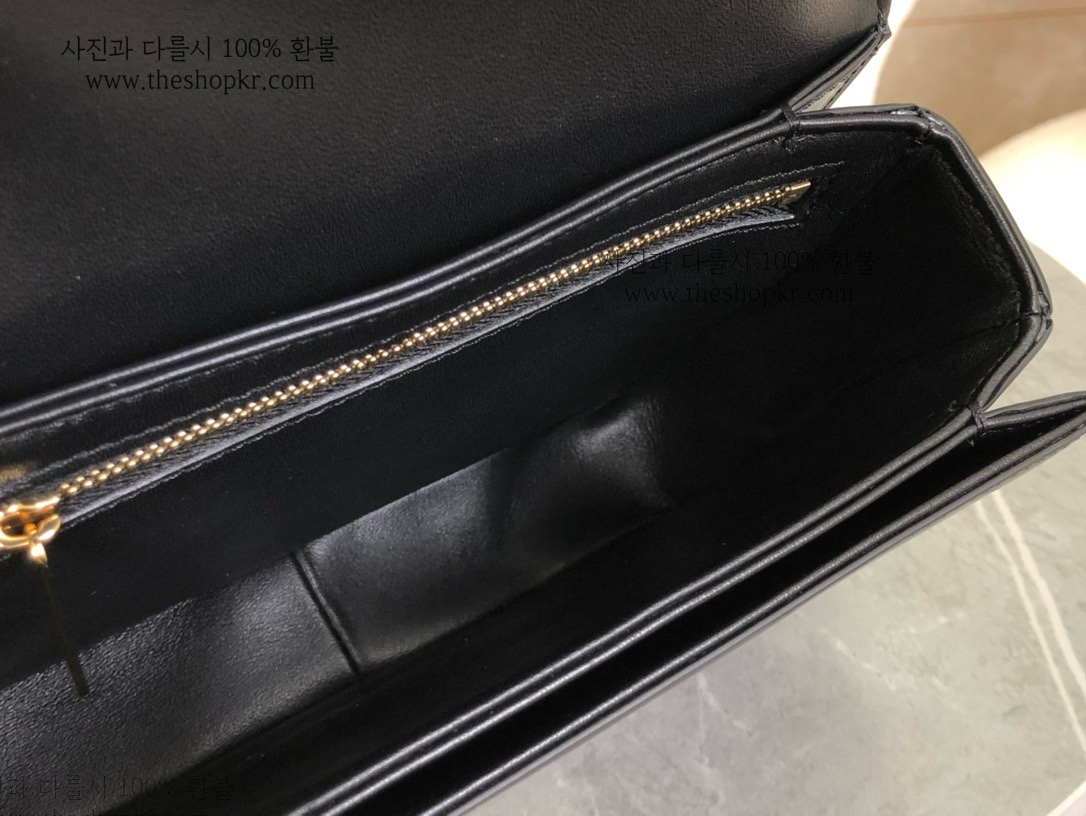 (흰고래) 셀린느 틴 트리옹프 백