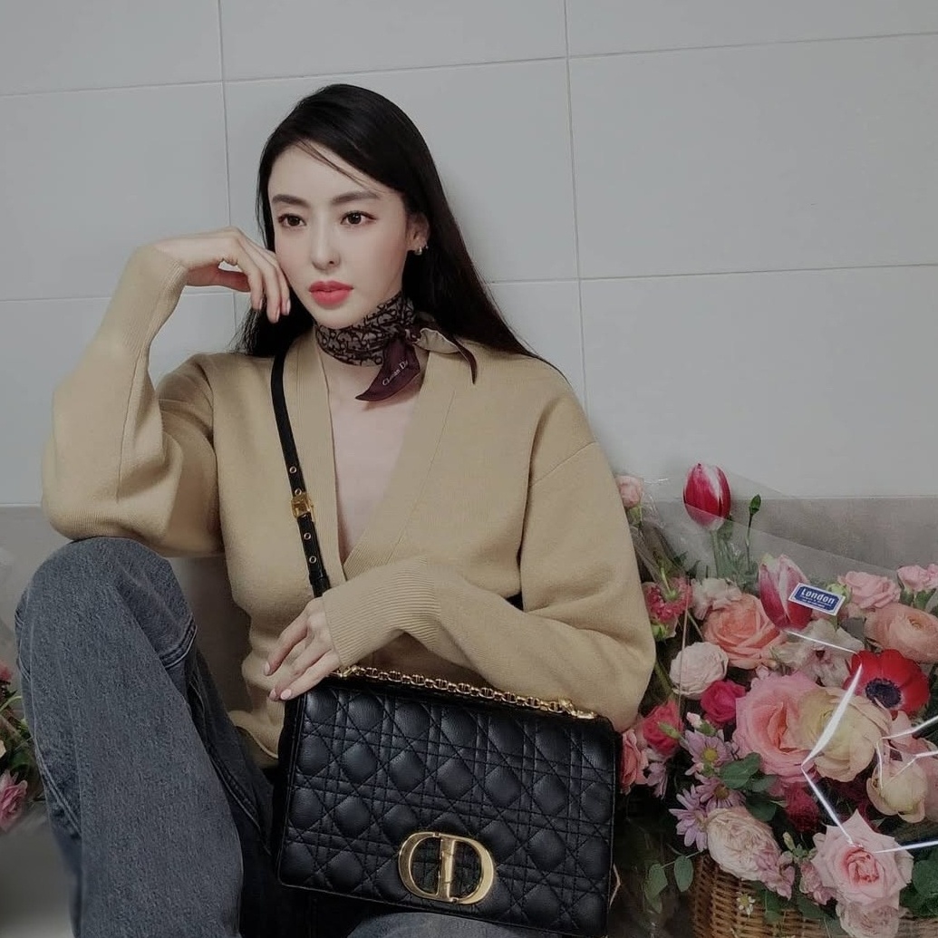 이다희 디올 라지 카로 숄더 백