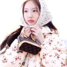나연 루이비통 나노 알마 백