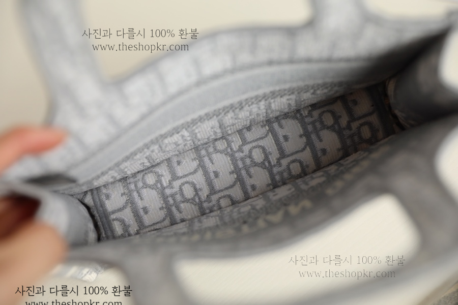 (닥터) 디올 미니 북토트 백