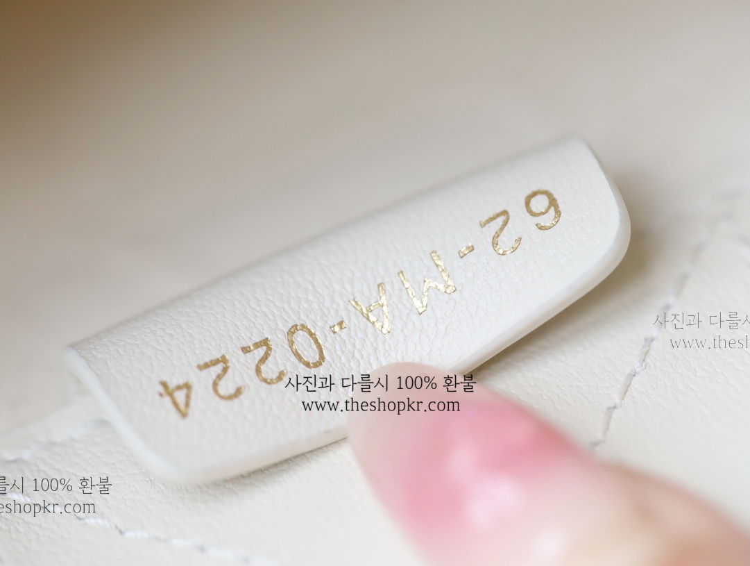 (닥터) 디올 미니 가죽 북토트 백