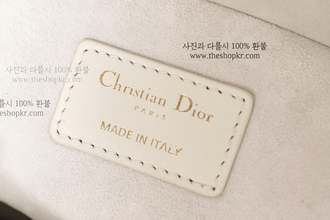 (닥터) 디올 디조이 미듐 백