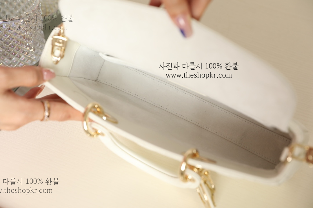 (닥터) 디올 디조이 미듐 백