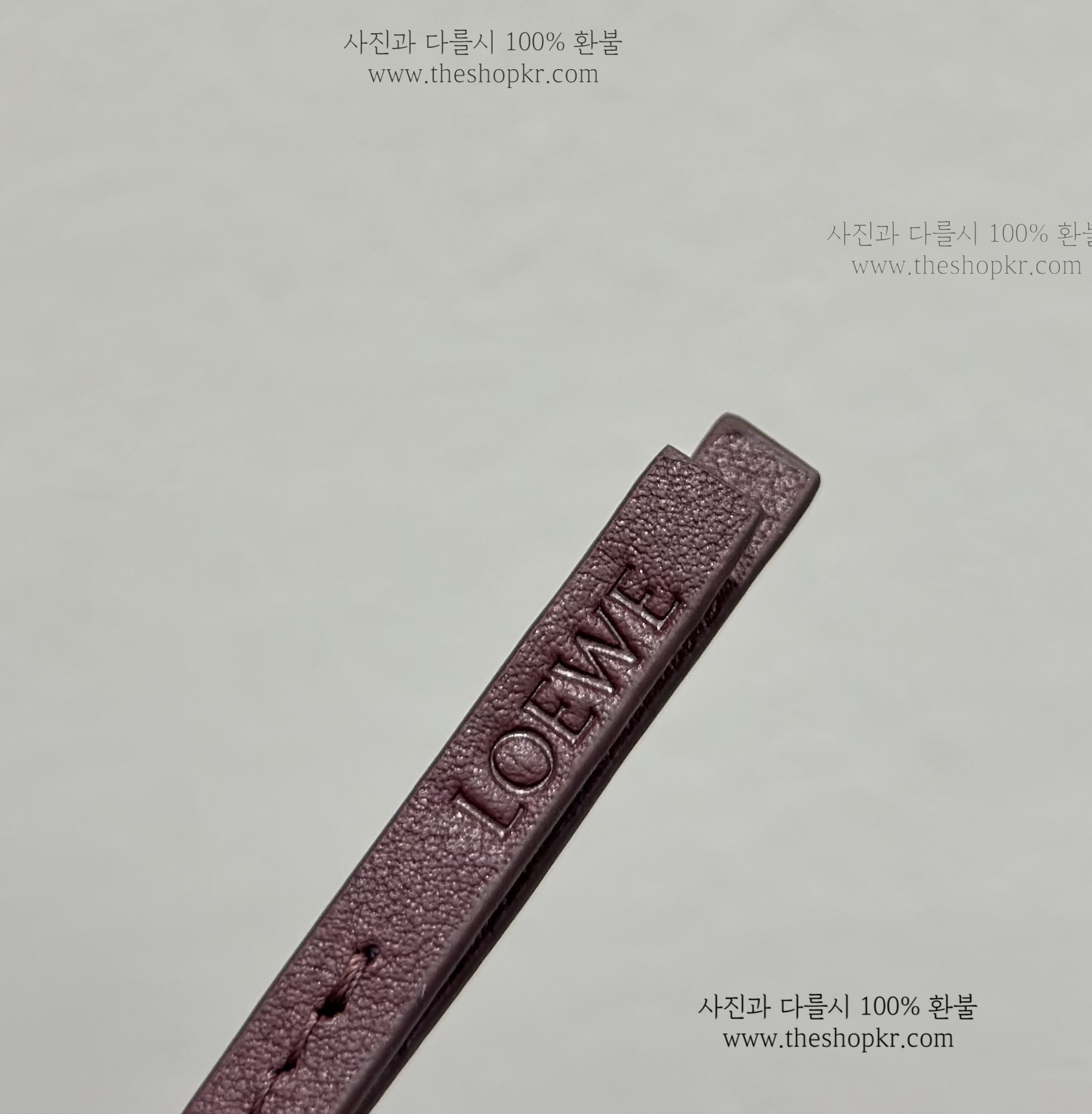 (지핀) 로에베 고슴도치 펠트 키링