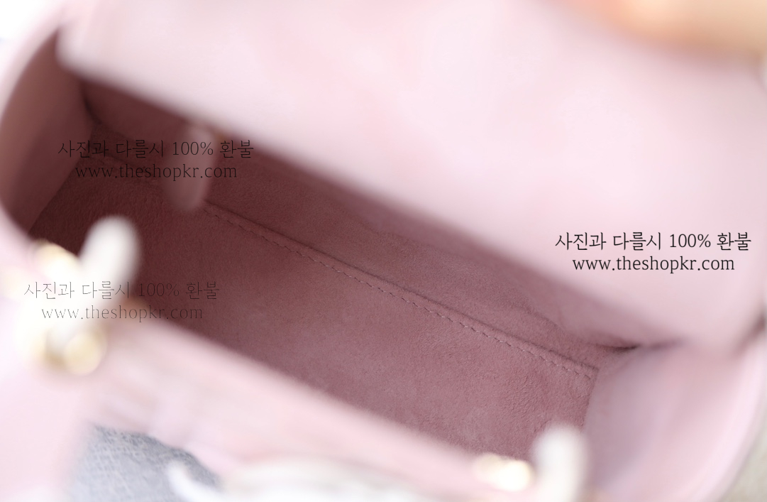(닥터) 디올 레이디 디올 미니 백