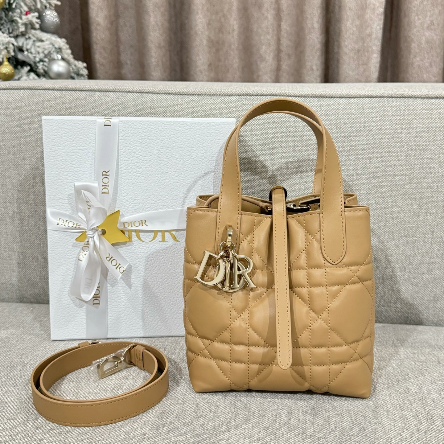 (여왕) 디올 뚜주흐 스몰 버티컬 토트 백