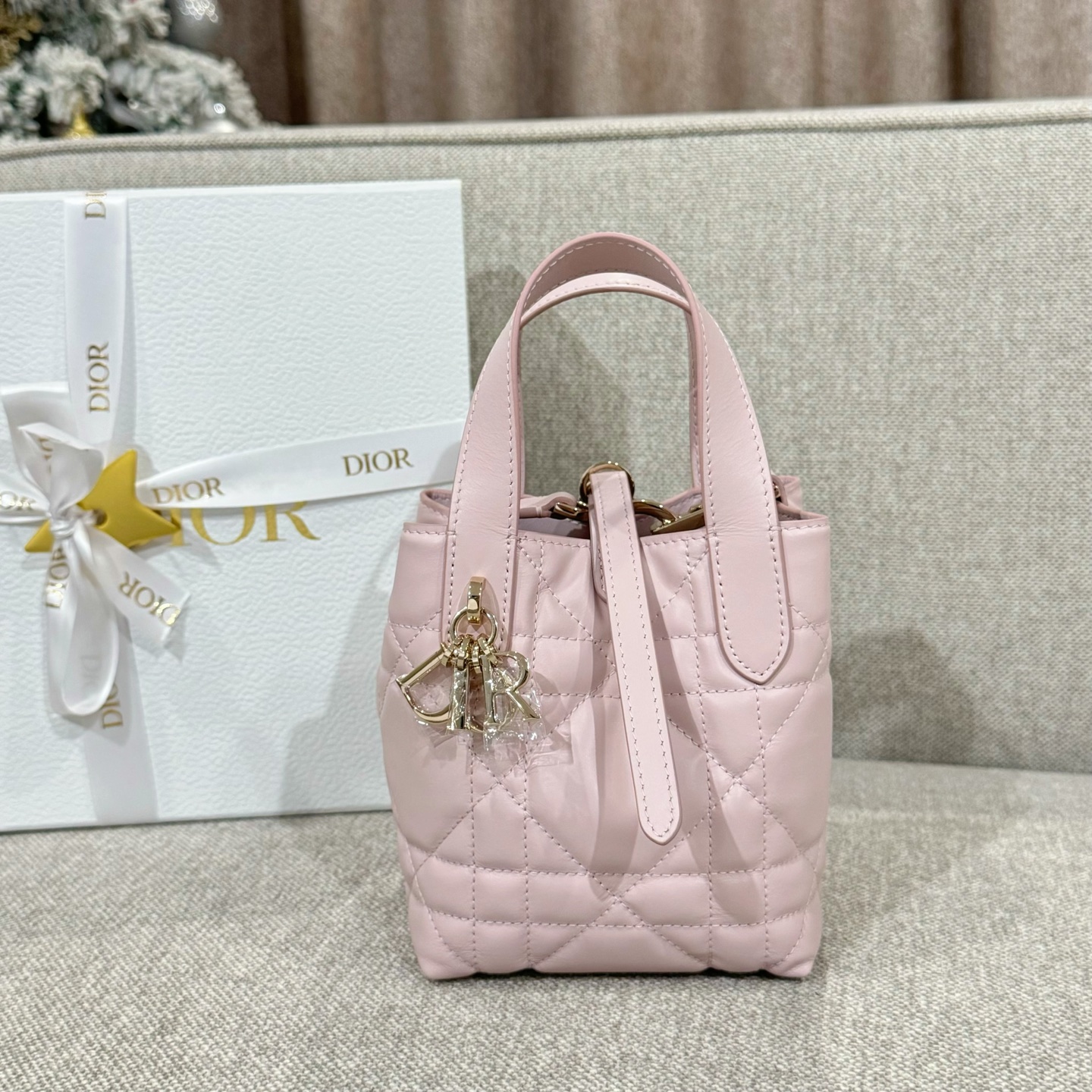 (여왕) 디올 뚜주흐 나노 버티컬 토트 백